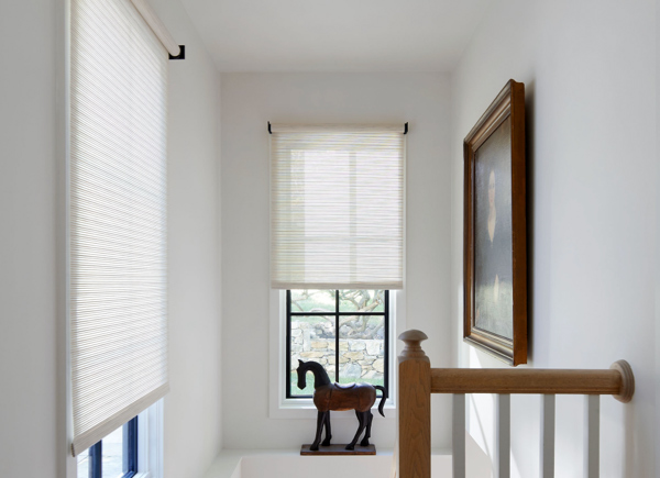 Black framed narrow window with Venetian Roller Shades over a stairway with a wooden railing and brown horse statue